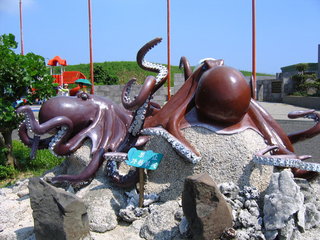章魚