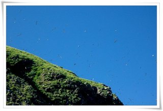 貓嶼地勢高聳，即使申請登島的人也不敢攀爬