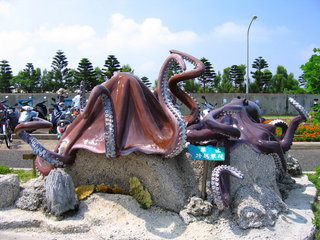 章魚